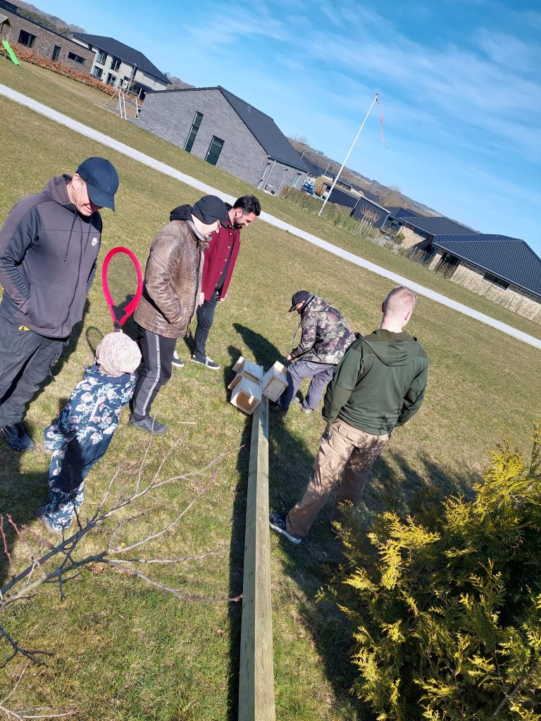 Samling af stærekasser
