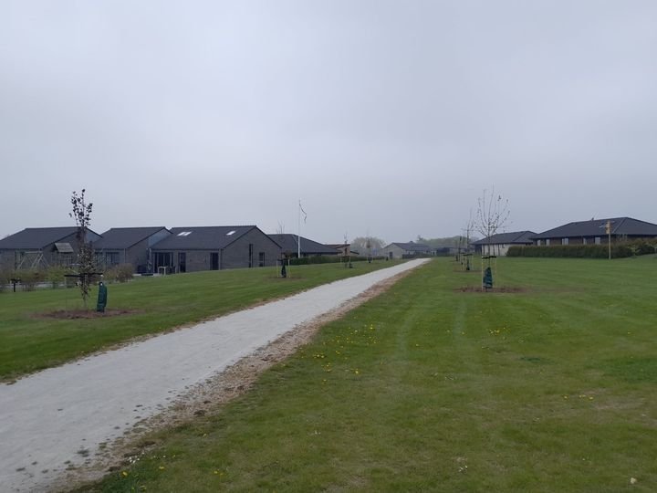 Etablering af ikke-frugtgivende træer