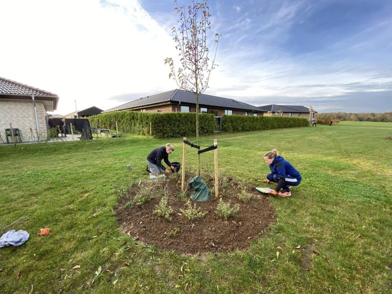 HUSK – Vedligeholdelsesdag: