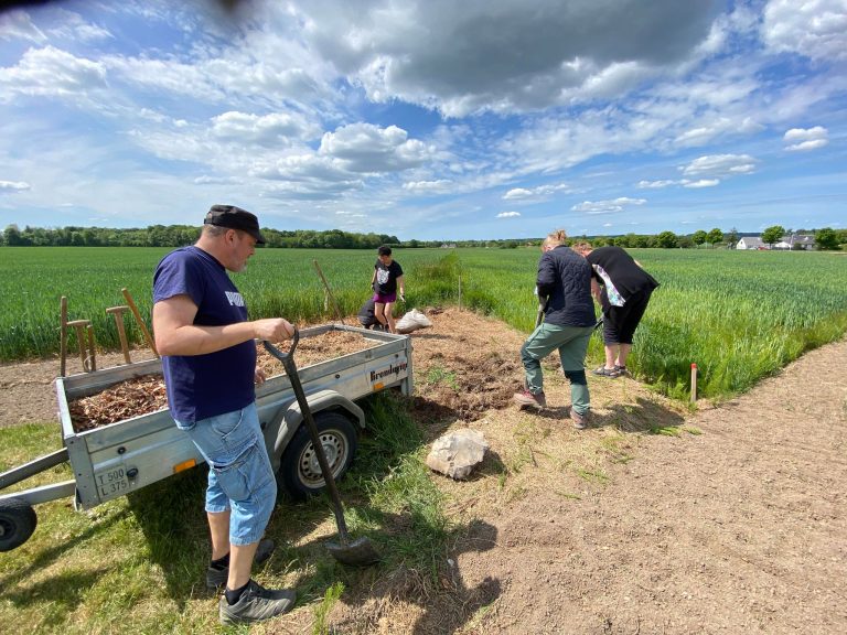 Oprydning på vedligeholdelsesdag